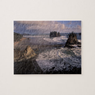 Nordamerika, USA, Washington, Olympic NP, Puzzle