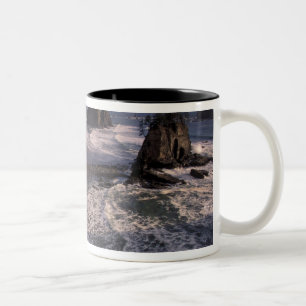 Nordamerika, USA, Washington, Olympic NP, Zweifarbige Tasse