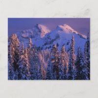 Nordamerika, USA, Washington, Rainier 4