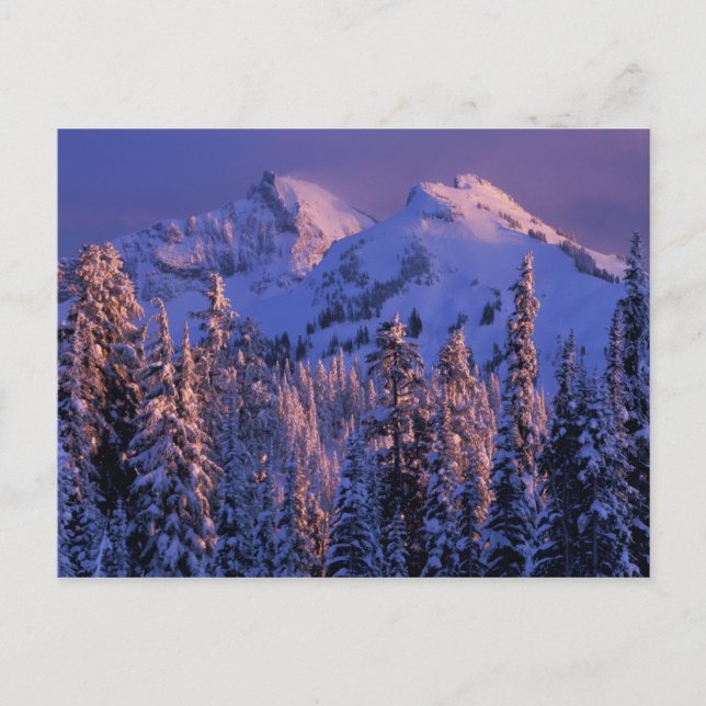 Nordamerika, USA, Washington, Rainier 4 Postkarte (Vorderseite)