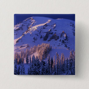 Nordamerika, USA, Washington, Rainier 5 Button