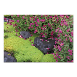 Nordamerika, USA, Washington, Rainier Fotodruck