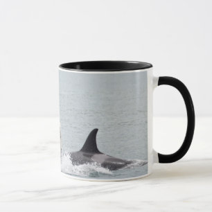 Nordamerika, USA, Washington, San Juan Tasse
