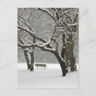 Nordamerika, USA, Washington, Seattle, Snow 2 Postkarte