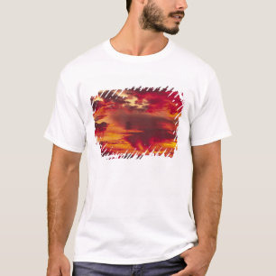 Nordamerika, USA, Washington, Seattle.Sonnenschein T-Shirt