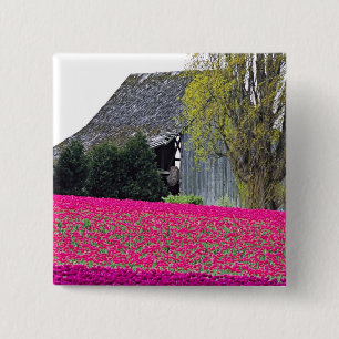 Nordamerika, USA, Washington, Skagit Valley. Button