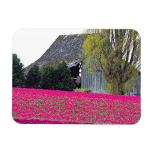 Nordamerika, USA, Washington, Skagit Valley. Magnet