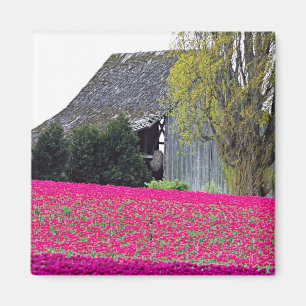 Nordamerika, USA, Washington, Skagit Valley. Magnet