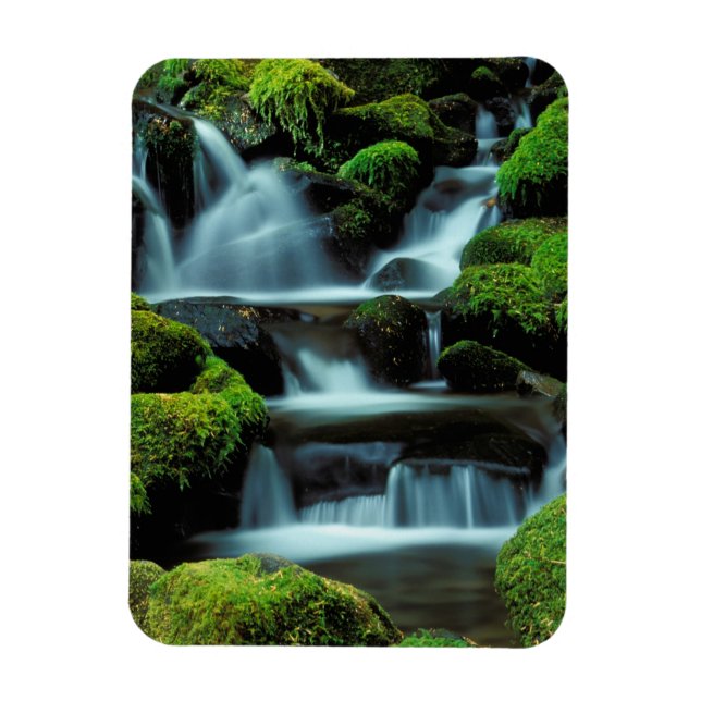Nordamerika; USA; Washington, Sol Duc Cascade Magnet (Vertikal)