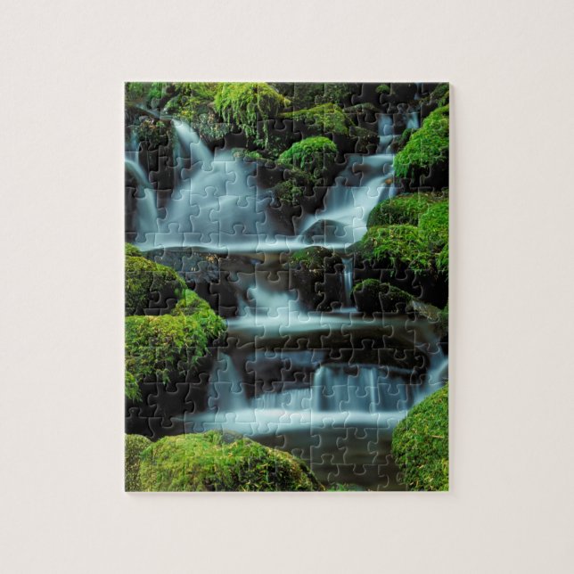 Nordamerika; USA; Washington, Sol Duc Cascade Puzzle (Vertikal)