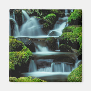Nordamerika; USA; Washington, Sol Duc-Kaskade Magnet