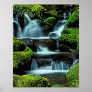 Nordamerika; USA; Washington, Sol Duc Kaskade Poster