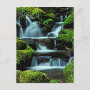 Nordamerika; USA; Washington, Sol Duc Kaskade Postkarte