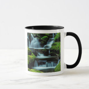 Nordamerika; USA; Washington, Sol Duc Kaskade Tasse