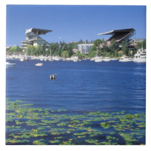 Nordamerika, USA, Washington Staat, Seattle, Fliese