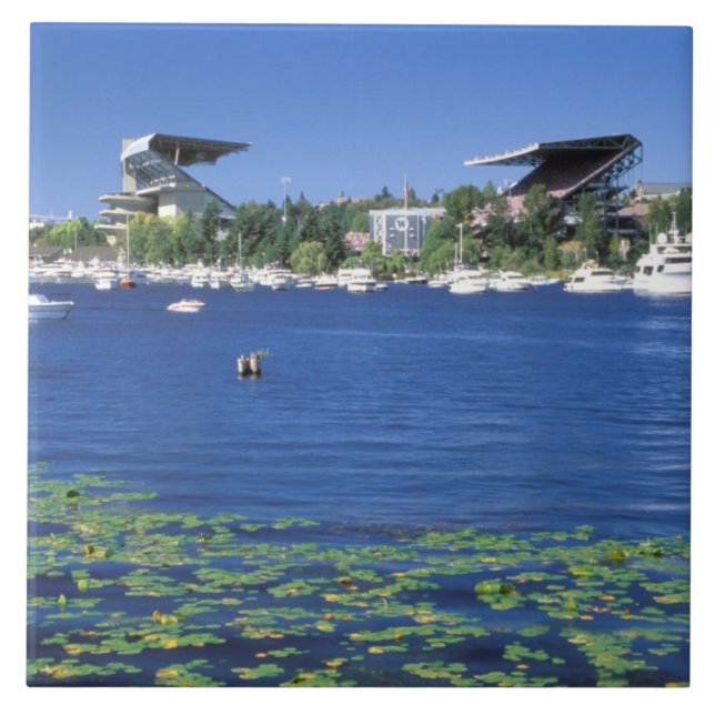 Nordamerika, USA, Washington Staat, Seattle, Fliese (Vorderseite)