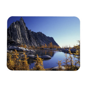 Nordamerika, USA, Washington, Verzauberung Magnet