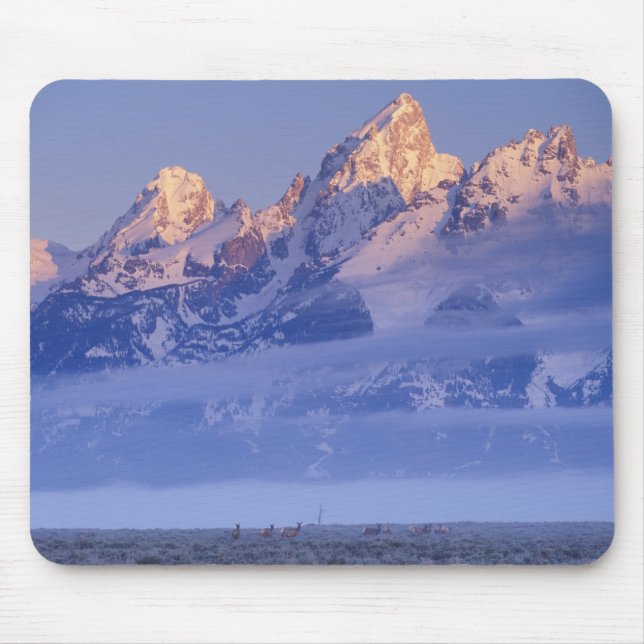 Nordamerika, USA, Wyoming, Grand Teton NP, 2 Mousepad (Vorne)