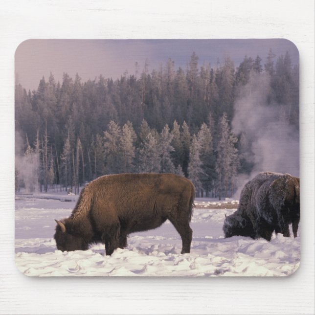 Nordamerika, USA, Wyoming, Yellowstone NP Mousepad (Vorne)