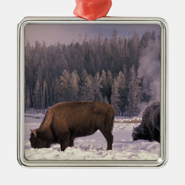 Nordamerika, USA, Wyoming, Yellowstone NP Silbernes Ornament (Vorne)