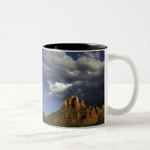 Nordamerika, Vereinigte Staaten, Arizona, Sedona. Zweifarbige Tasse