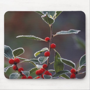 Nordamerika, Vereinigte Staaten, Neuengland. Holly Mousepad