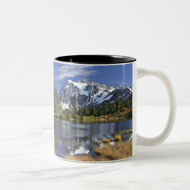 Nordamerika, Washington, Cascades. Shuksan Zweifarbige Tasse (Rechts)