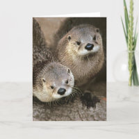 Nordamerikanische Fluss-Otter