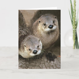Nordamerikanische Fluss-Otter Karte