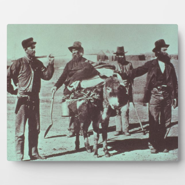 Nordamerikanische Goldgräber, c.1849 (b/w-Foto) Fotoplatte (Vorderseite)