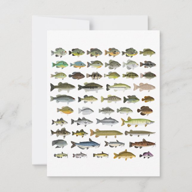 Nordamerikanische Süßwasserfischgruppe (Vorderseite)