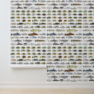 Nordamerikanische Süßwasserfischgruppe Tapete