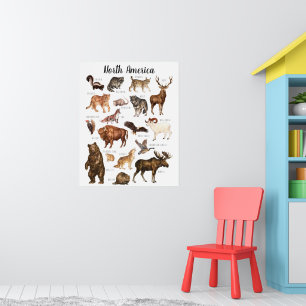 Nordamerikanische Tiere   Bildungsunterricht Poster