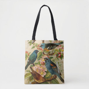 Nordamerikanische Vögel Gustav Mü tzel