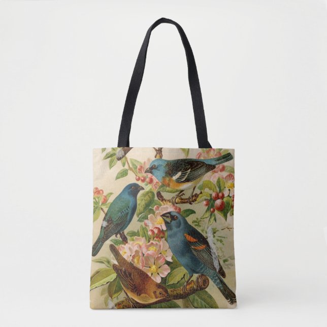 Nordamerikanische Vögel | Gustav Mü tzel (Vorderseite)