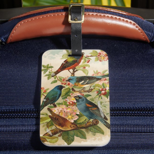 Nordamerikanische Vögel | Gustav Mü tzel Gepäckanhänger (Vorderseite Insitu 2)