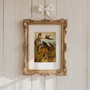 Nordamerikanische Vögel Gustav Mü tzel Poster