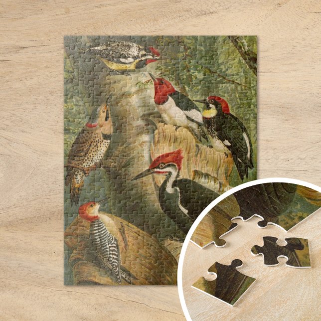 Nordamerikanische Vögel | Gustav Mü tzel Puzzle (Von Creator hochgeladen)