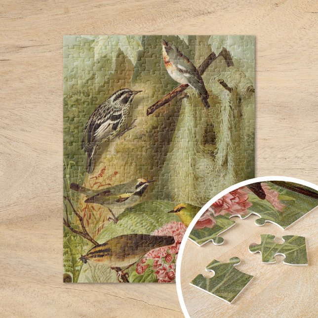 Nordamerikanische Vögel | Gustav Mü tzel Puzzle (Von Creator hochgeladen)