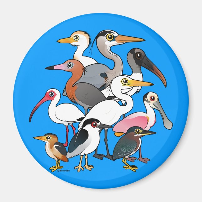 Nordamerikanische Waders Magnet (Vorne)