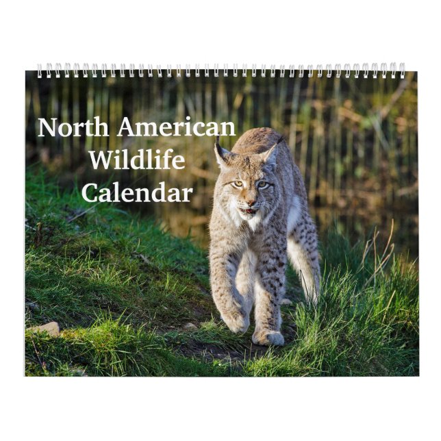 Nordamerikanische Wildfauna Kalender (Titelbild)