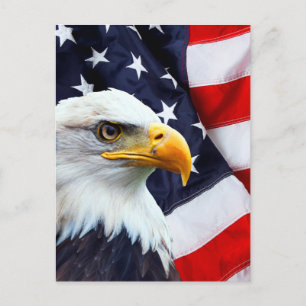 Nordamerikanischer Adler unter amerikanischer Flag Postkarte