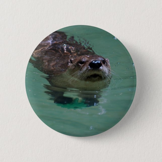 Nordamerikanischer Fluss-Otter Button (Vorderseite)