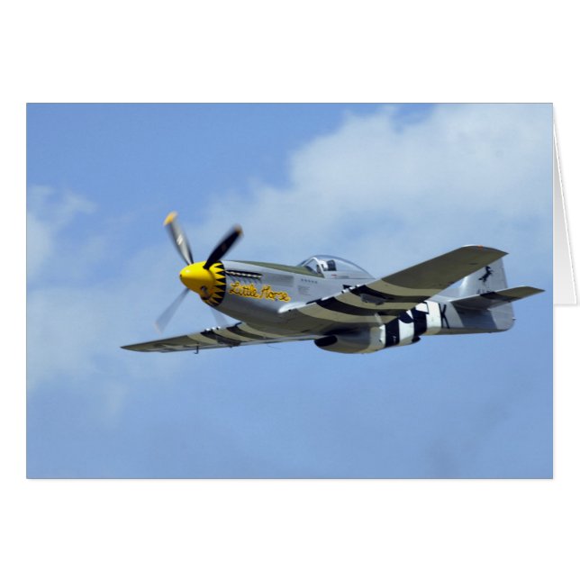 Nordamerikanischer P-51D Mustang, Kleines Pferd (Vorderseite (Horizontal))
