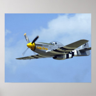 Nordamerikanischer P-51D Mustang, Kleines Pferd Poster