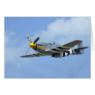 Nordamerikanischer P-51D Mustang, Little Horse