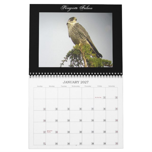 Nordamerikanischer Vogel-Kalender Kalender (Jan 2027)