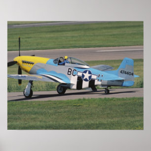 Nordamerikanisches P-51 D, das Donna auf blendet Poster