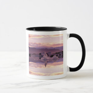 Nordatlantik, Island, Breioamerkurjokull Tasse