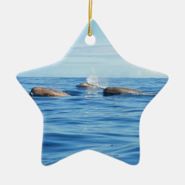 Nordatlantikbottlenose-Wale Keramik Ornament (Vorne)